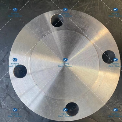 Slip On Welding Neck Titanium Flanges Gr2 ASTM B381 Strong Sealing